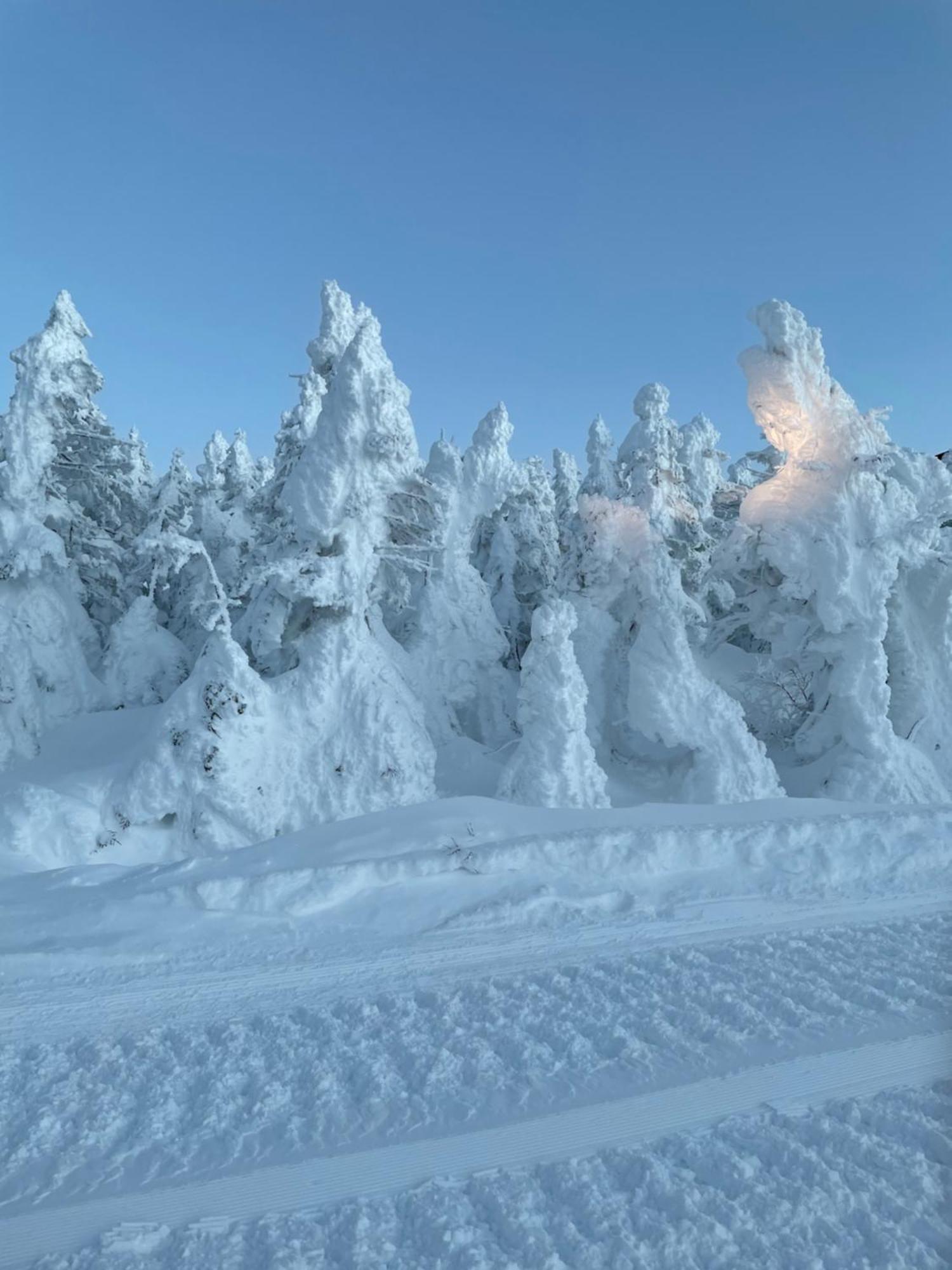 Shiga Kogen Lodge Яманучи Екстериор снимка